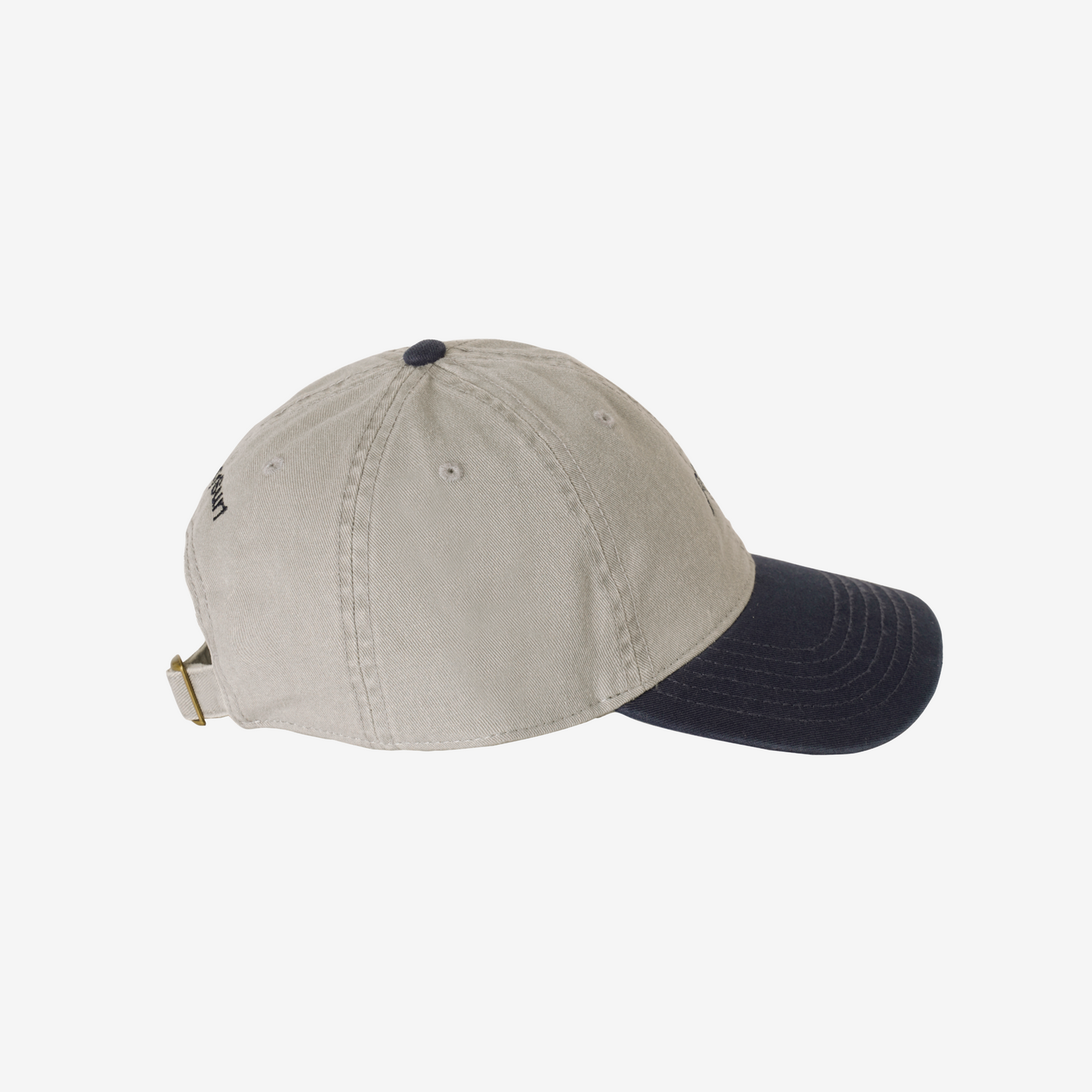 Wave Logo Cap