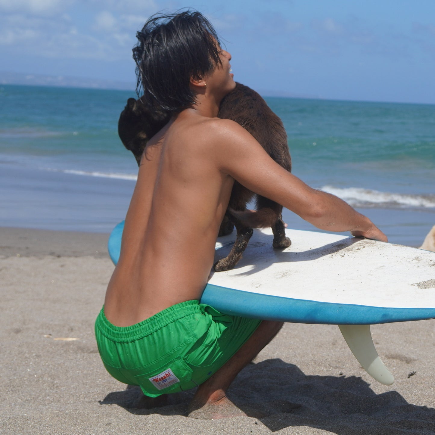 Boardshorts / Wasabi x NobodySurf